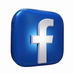 Face Icon